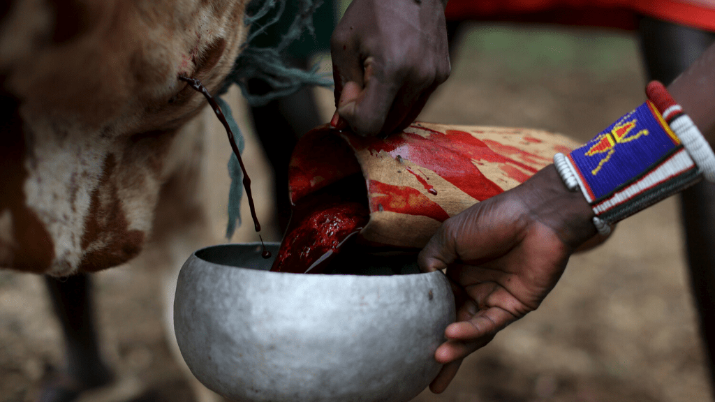 Kadealo, African delicacies, Blood, Tanzania