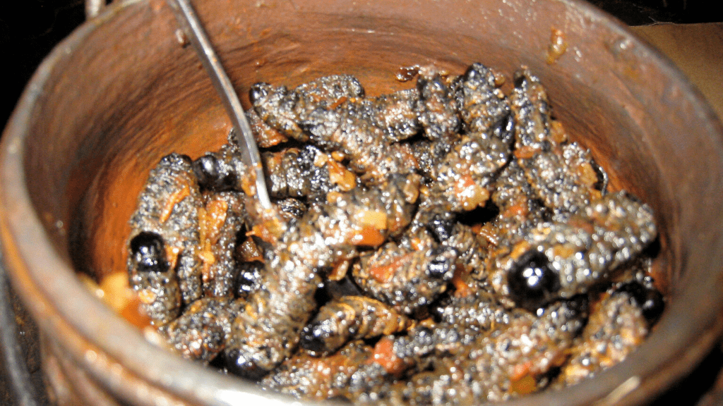 Kadealo, African Delicacies, Mopane Worm, Imbrassia Belina, South Africa, Zimbabwe, Botswana
