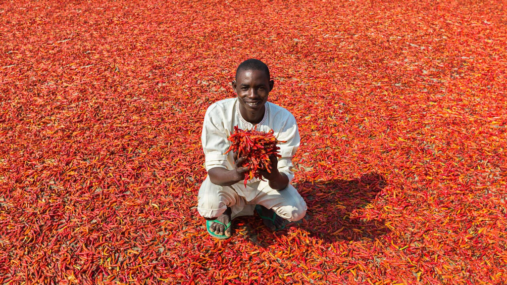 Kadealo, African Spice Varieties, West African Pepper, Nigera