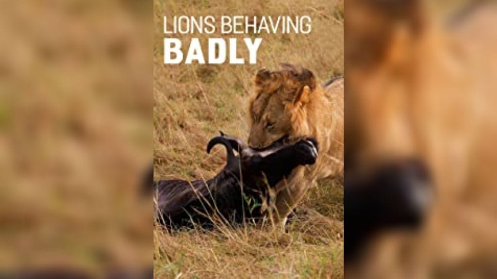 Kadealo, Wildlife Documentaries, Documentaries on Africa: African Documentary, Lions Behaving Badly, Makalolo, Zimbabwe