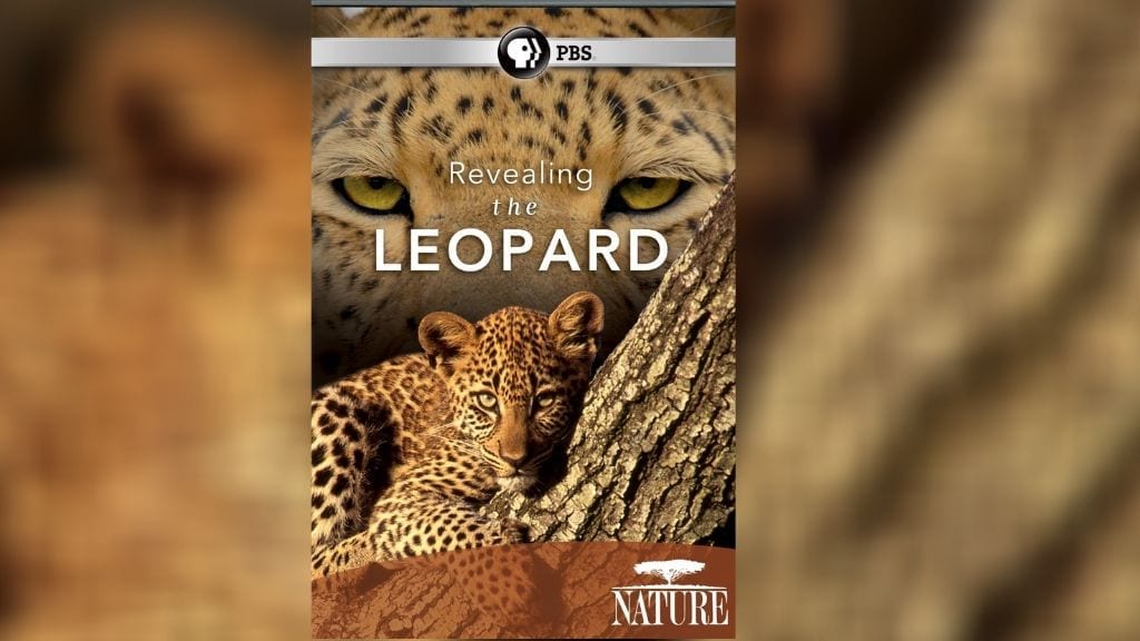 Kadealo, Wildlife Documentaries, African Documentary, Revealing the Leopard