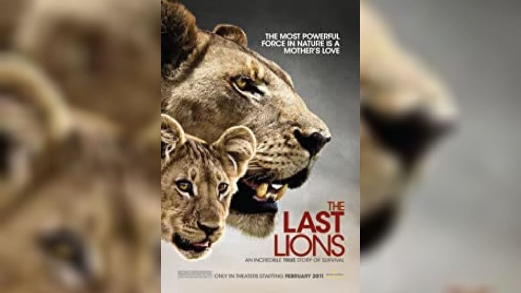 Kadealo,Wildlife Documentaries, Documentaries on Africa: African Documentary, The Last Lions