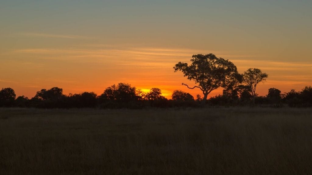 Kadealo, African Natural Wonders, Okavango Delta, Botswana