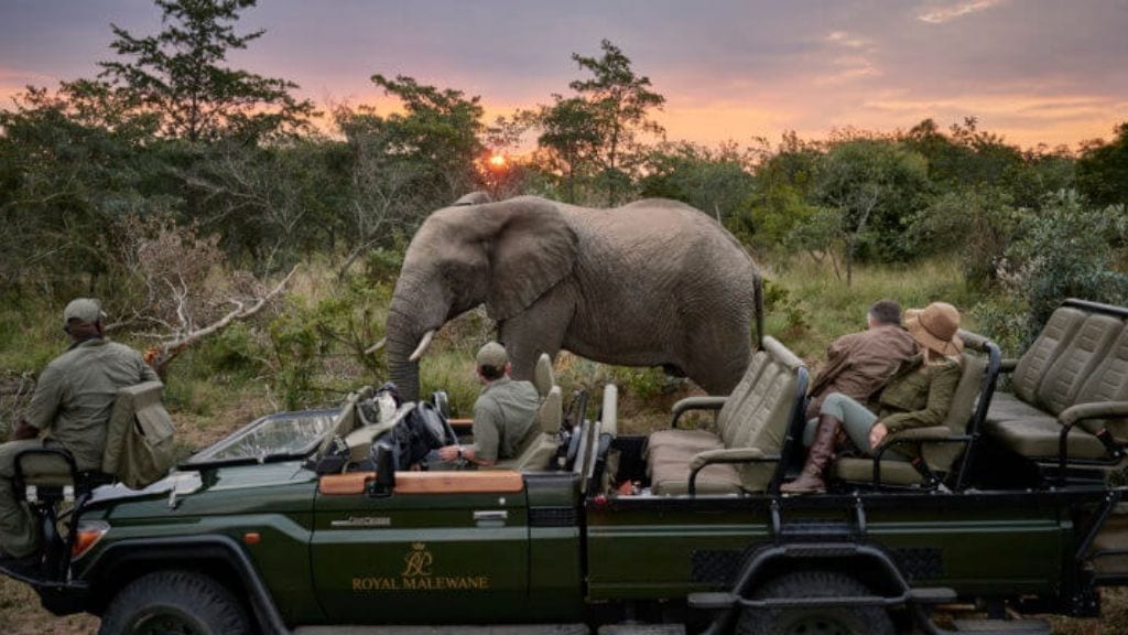 Kadealo, African Safari Camp, Royal Melawane, South Africa