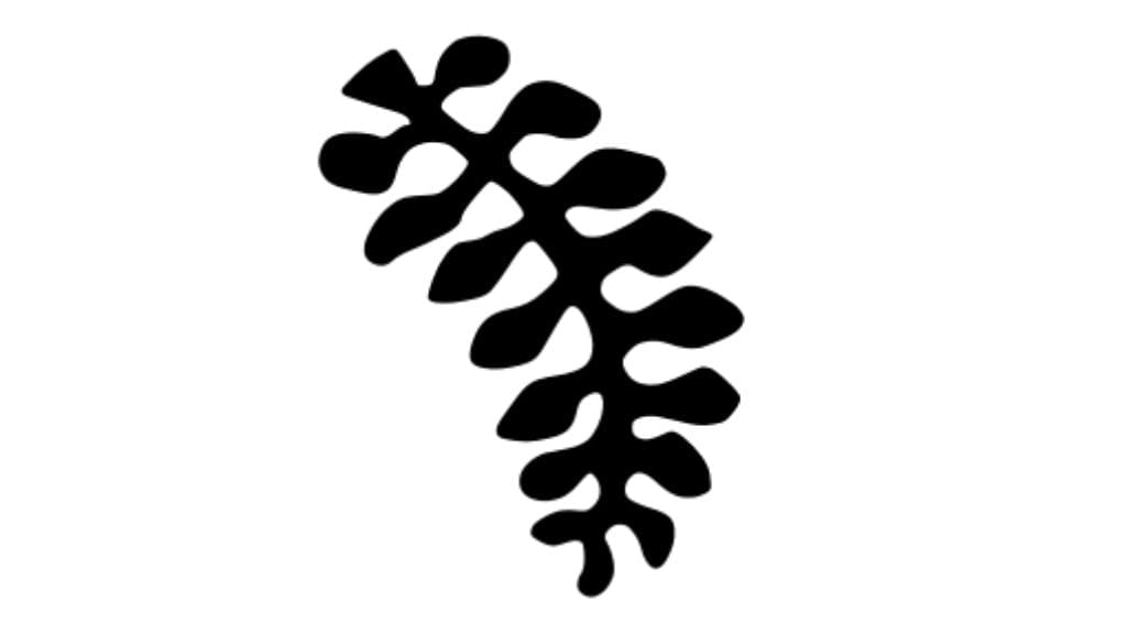 Kadealo, Adinkra Symbols, Adwera