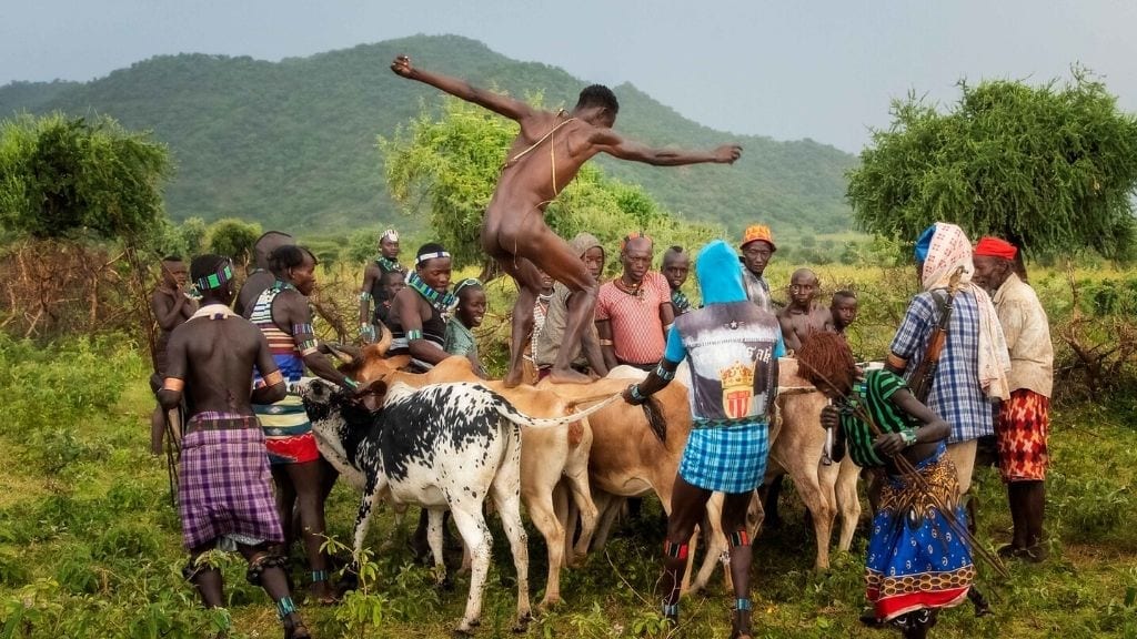Kadealo, African Traditions, Bull Jumping